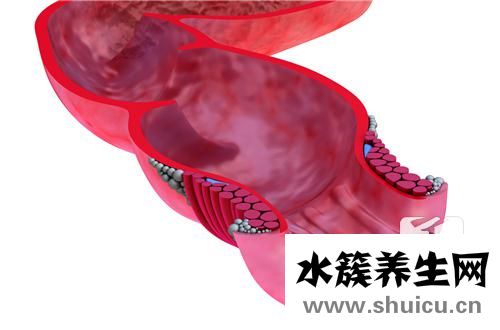 肛門整天墜漲有便意感