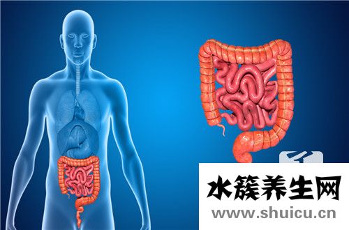 潰瘍性結腸炎大便特點