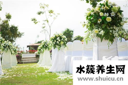 臥室放什么花好