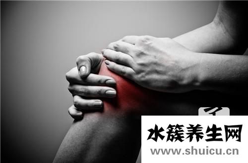 腿膝蓋內側疼痛