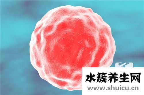 巨細胞病毒陽性