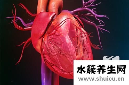 先天性血管畸形