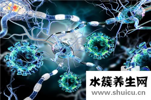 關(guān)節(jié)面