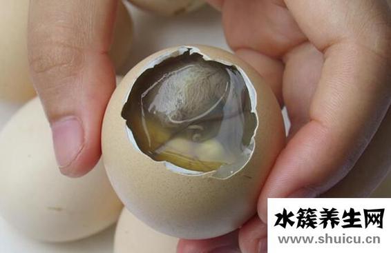 吃活珠子的好處和危害