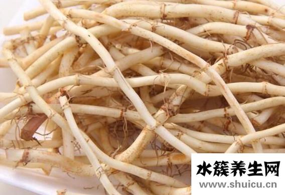 魚腥草與什么相克