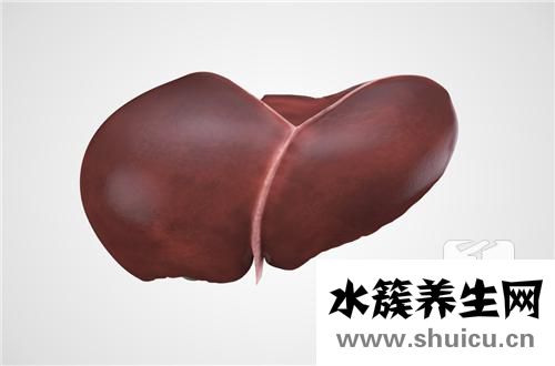 肝不好吃什么藥