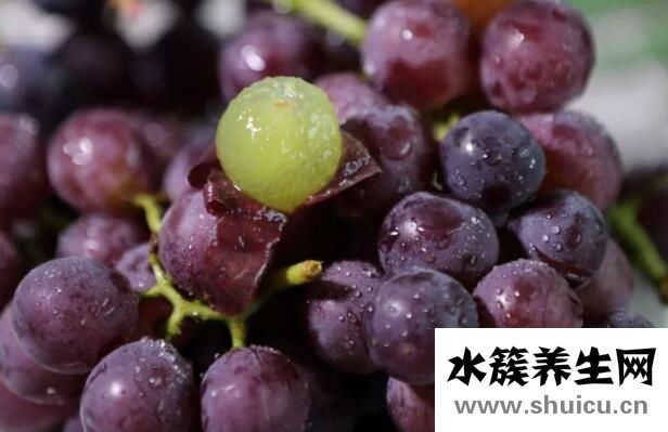 甲狀腺必吃五種水果