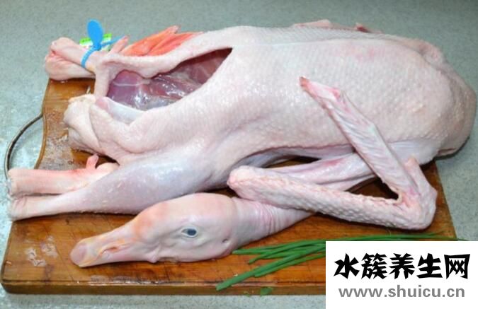 女性為什么不能吃鵝肉