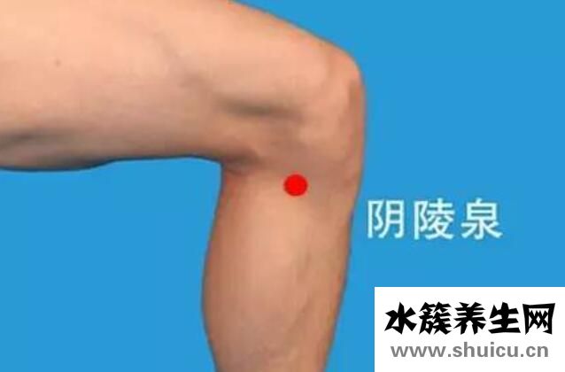 陰陵泉的準確位置圖片