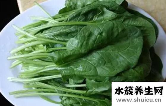 吃什么東西補肝