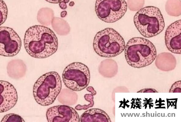 白細胞偏高怎么降下來