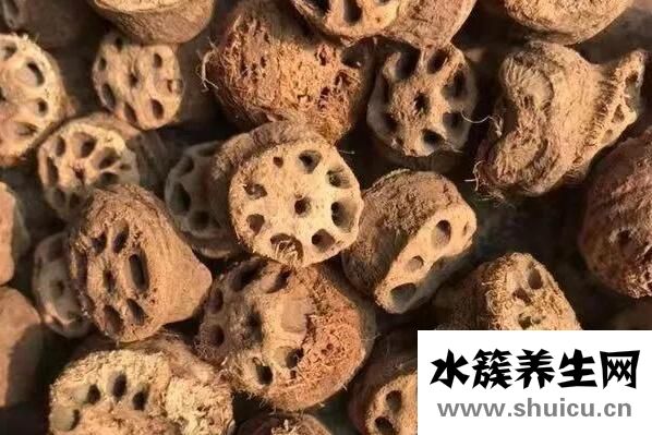 藕節煮水的功效