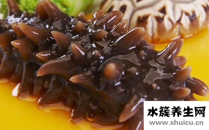 海參的功效與禁忌