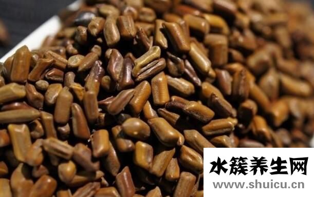 決明子枕頭的功效與作用