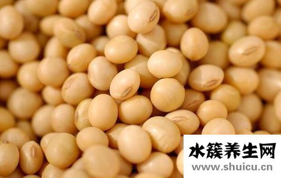 提高孕酮的最佳食物