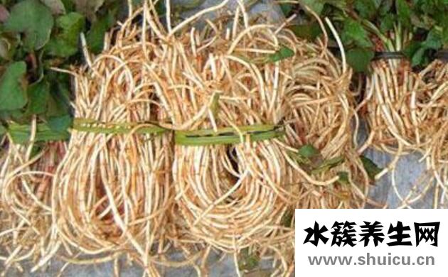 女人吃魚腥草的好處