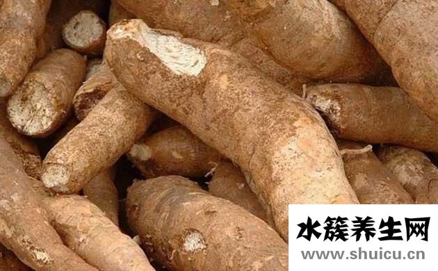 木薯的功效與作用禁忌