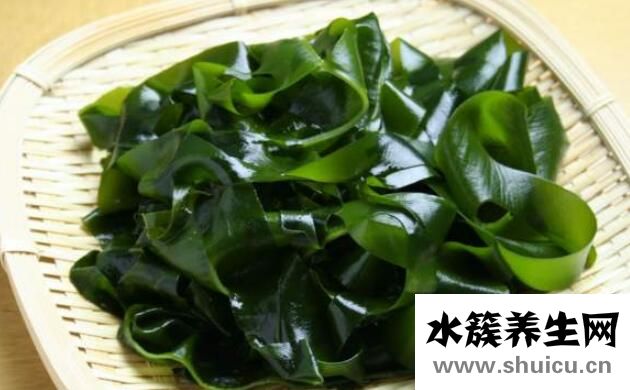 裙帶菜的食用禁忌