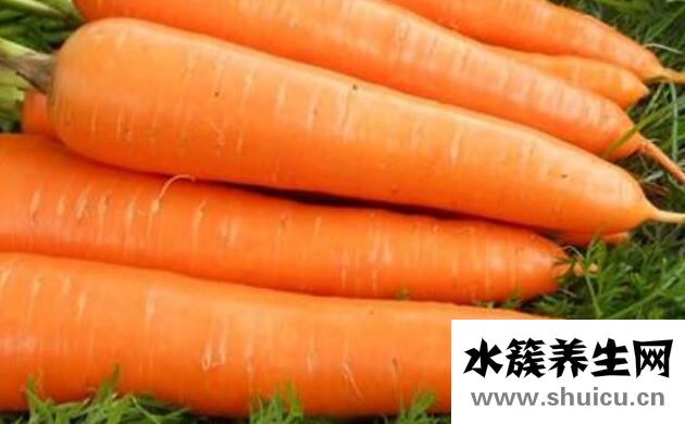 什么補血效果最好最快