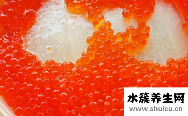 魚籽的營養價值及功效