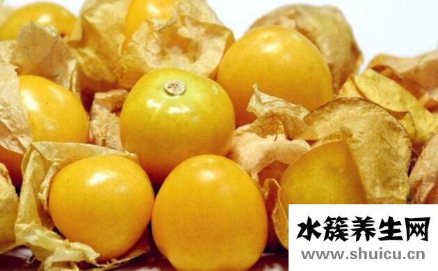 姑娘果的功效與禁忌