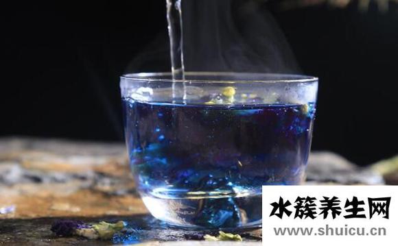 藍蝴蝶花泡水喝的功效