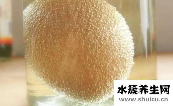 白醋泡雞蛋的功效和作用