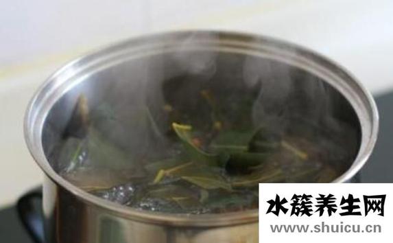 枇杷葉怎么煮水止咳