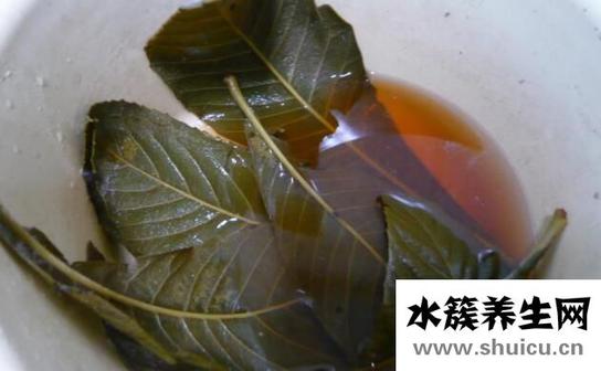 枇杷葉怎么煮水止咳