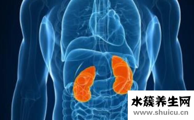 腎炎有什么癥狀