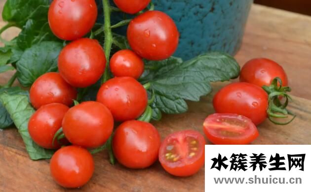 圣女果和西紅柿的區(qū)別