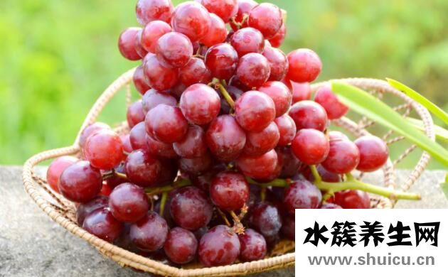 吃什么補肝最好