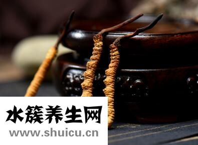 冬蟲(chóng)夏草到底是什么
