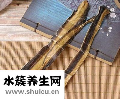 中藥地龍的功效與作用