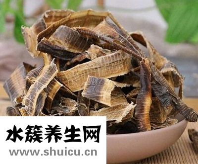 中藥地龍的功效與作用