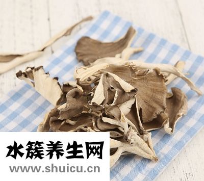 灰樹花的功效與作用