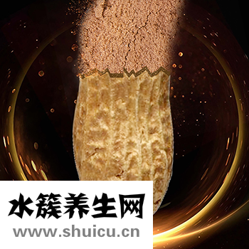 花生衣的功效與作用