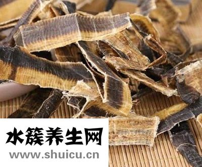 中藥地龍的功效與作用