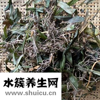 萬年青的功效與作用