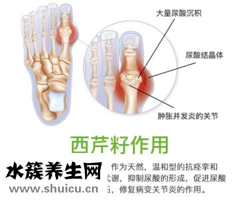 苯溴馬隆片副作用