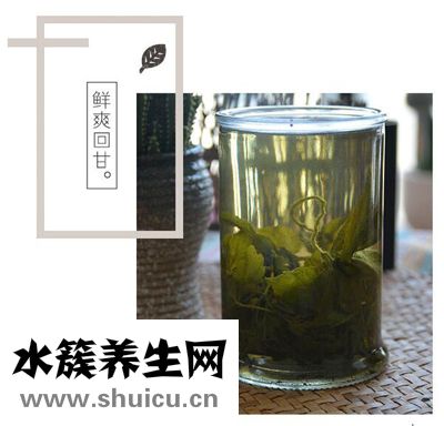 絞股藍(lán)茶多少錢一斤