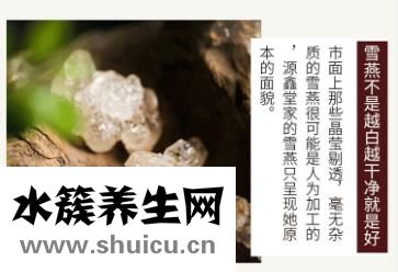 雪燕和燕窩的區別