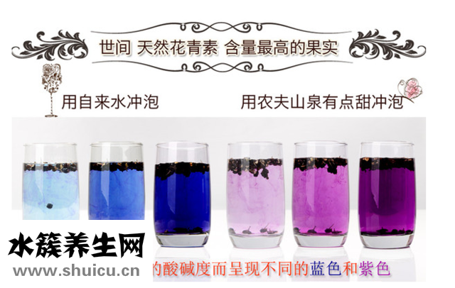 黑枸杞子泡水后PH值影響顏色變化