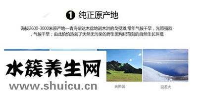 黑枸杞的功效與作用及食用方法