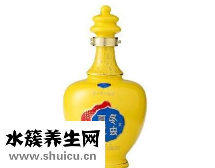 冬蟲夏草營養酒