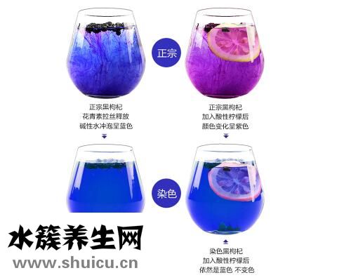 黑枸杞真假怎樣辨別