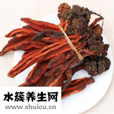 回春草的功效與作用