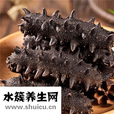 海參價格多少一斤