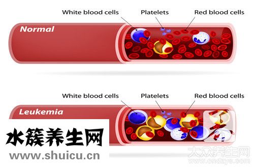 病毒和細菌區別