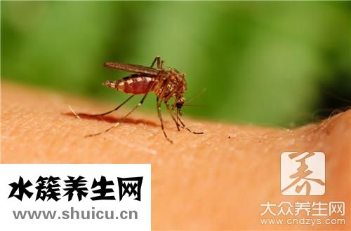 蚊子咬了腫很大很硬